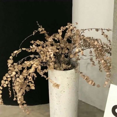 七台河FurryQQ群介绍